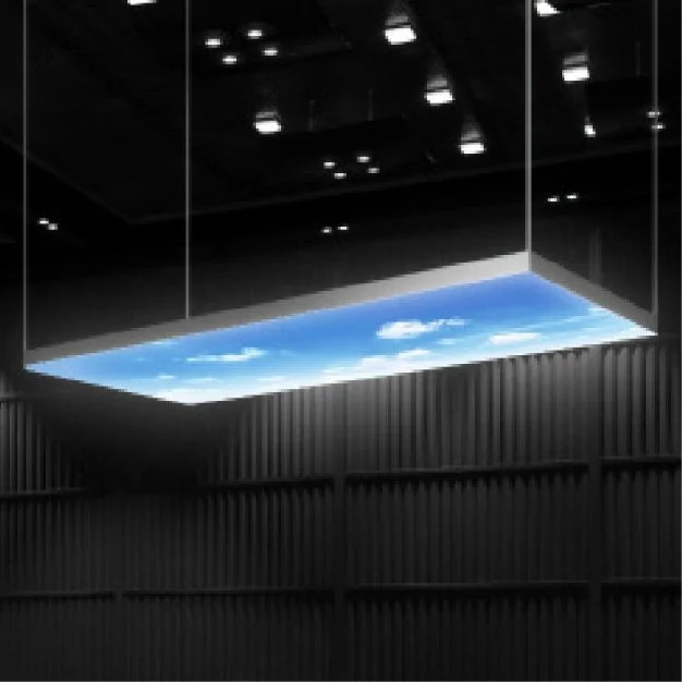 enseigne suspendue plafond lumineux